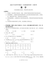 广西河池市十校联体2024-2025学年高二下学期第一次联考数学试卷（PDF版附解析）