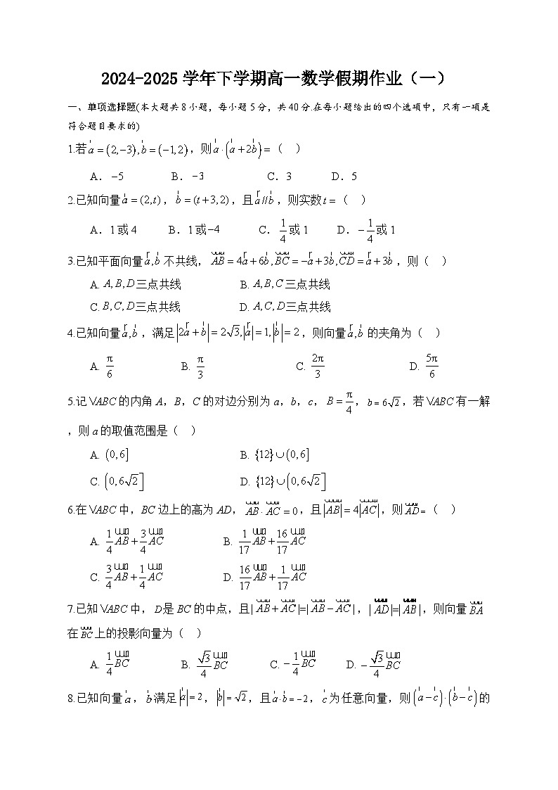 2024-2025学年下学期高一数学假期作业(一)第1页