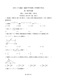 安徽省安庆市第二中学2024-2025学年高一下学期期中考试数学试卷（Word版附解析）
