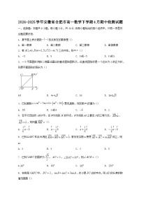 2024-2025学年安徽省合肥市高一数学下学期4月期中检测试题（含答案)