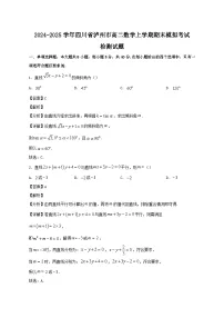 2024-2025学年四川省泸州市高二数学上学期期末模拟考试检测试题（含答案)