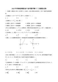 2025年河南省鹤壁高中高考数学第十二次模拟试卷（含答案）