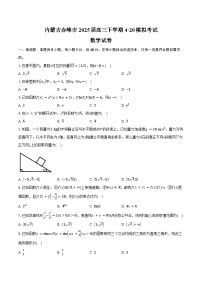 内蒙古赤峰市2025届高三下学期4·20模拟考试数学试卷（含答案）