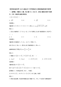 陕西省商洛市2025届高三下学期第三次模拟检测数学试卷（解析版）