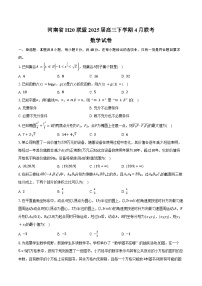 河南省H20联盟2025届高三下学期4月联考数学试卷（含答案）