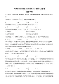 河南省H20联盟2025届高三下学期4月联考数学试卷（含答案）