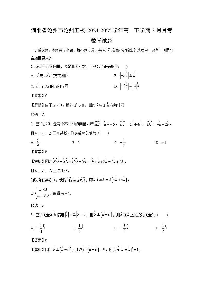 河北省沧州市沧州五校2024-2025学年高一下学期3月月考数学试卷(解析版)第1页