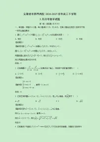 安徽省阜阳市两校2024-2025学年高二下学期3月月考数学试卷(解析版)