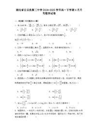 湖北省公安县第三中学2024−2025学年高一下学期4月月考数学试卷（含解析）