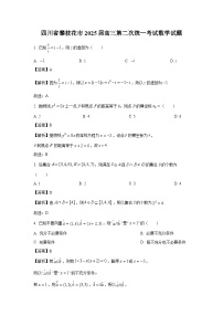 四川省攀枝花市2025届高三第二次统一考试数学试卷（解析版）