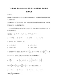 云南省宣威市2024-2025学年高三下学期期中考试数学检测试题（附答案）