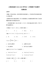 云南省宣威市2024-2025学年高一上学期期中考试数学检测试卷（附答案）