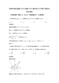 陕西省名校联盟TOP10检测2025届年高三下学期二模联考数学试卷（解析版）