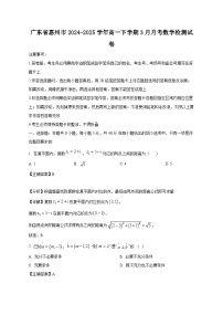广东省惠州市2024-2025学年高一下学期3月月考数学检测试卷（含答案）