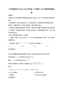 广东省惠州市2024-2025学年高一下学期3月月考数学检测试卷(含答案)