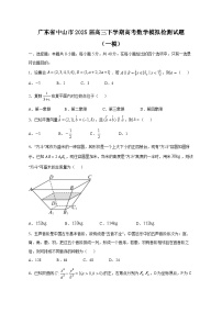 广东省中山市2025届高三下学期高考数学模拟检测试题（一模）（含答案）