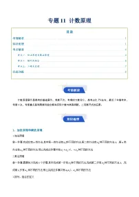 专题11 计数原理(知识梳理+考点精讲精练+实战训练)-【决胜春考】2025年春季高考数学冲刺总复习(上海专用)(原卷版+解析版)