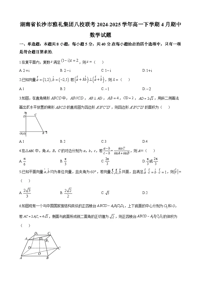 雅礼集团八校联考2024-2025学年高一下学期期中数学试题第1页