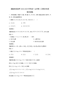 湖南省娄底市2024-2025学年高一上学期1月期末考试数学试卷（解析版）