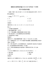 湖南省三湘名校联盟2024-2025学年高一下学期期中考试数学试题（解析版）