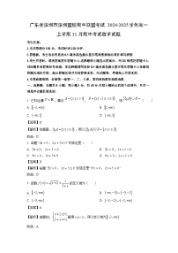 广东省深圳市深圳盟校期中联盟考试2024-2025学年高一上学期11月期中考试数学试题（解析版）
