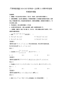 广西名校联盟2024-2025学年高一上学期11月期中阶段性考试数学试题（解析版）