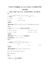 广东省广州市增城区2024-2025学年高一上学期期中考试数学试卷（解析版）