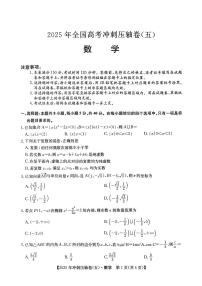 2025年全国高三高考冲刺压轴卷（五）数学试题（含答案）