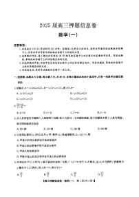 九师联盟2025届高三押题信息卷（一）数学试题（含答案）