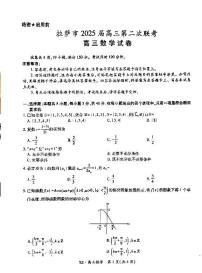 西藏自治区拉萨市2025届高三第二次联考数学试卷（含答案）