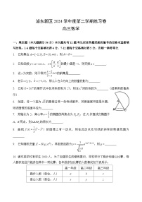 【2025届上海高三数学三模】2025届上海浦东区高三数学三模试卷与答案