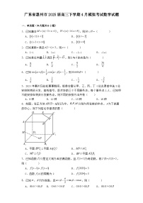 广东省惠州市2025届高三下学期4月模拟考试 数学试题（含解析）