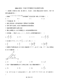 安徽省淮南第二中学2024-2025学年高一下学期期中考试数学试题（Word版附解析）