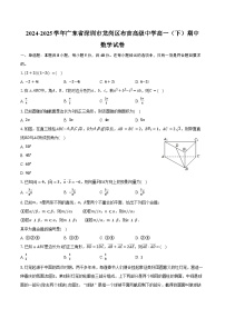 2024-2025学年广东省深圳市龙岗区布吉高级中学高一（下）期中数学试卷（含答案）