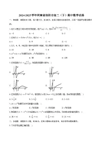 2024-2025学年河南省洛阳市高二（下）期中数学试卷（含答案）