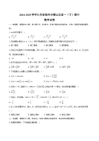 2024-2025学年江苏省徐州市铜山区高一（下）期中数学试卷（含答案）