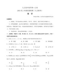 山东省九五高中协作体2025高三下学期5月质量检测-数学试题+答案