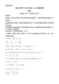 河南省金科新未来大联考2024-2025学年高三上学期11月质量检测 数学试题（含答案）