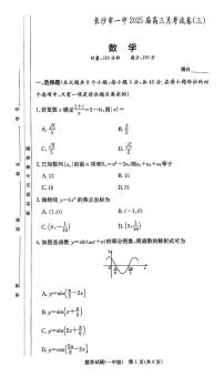 湖南省长沙市第一中学2024-2025学年高三上学期11月月考数学试题（含答案）