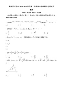江苏省南京航空航天大学苏州附属中学2024-2025学年高一下学期期中考试数学试题（原卷版+解析版）