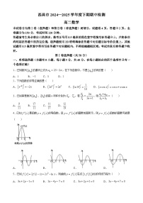 四川省凉山州西昌市2024-2025学年高二下学期期中检测 数学试题【含答案】
