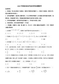 陕西省2025届高三下学期高考适应性检测数学试题（原卷版+解析版）
