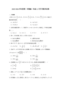 广东省汕尾市部分学校2023-2024学年高一上学期11月月考数学试卷