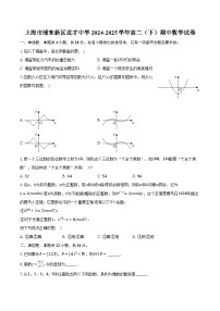 上海市浦东新区进才中学2024-2025学年高二（下）期中数学试卷（含解析）