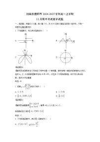 河南省濮阳市2024-2025学年高一上学期11月期中考试数学试题（解析版）