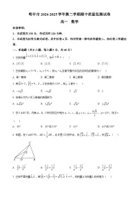 新疆喀什市2024-2025学年高一下学期期中质量监测数学试卷(原卷版+解析版)