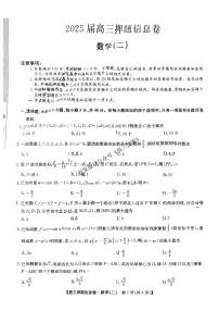 2025年九师联盟高考模拟押题卷(二）数学试题及答案