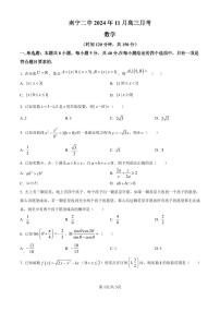 广西南宁市第二中学2024-2025学年高三上学期11月月考数学试卷（含答案）