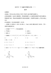 湖南省长沙市第一中学2025届高三下学期一模数学试题（Word版附解析）