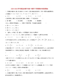 湖北省咸宁市2023_2024学年高一数学下学期期末考试试卷